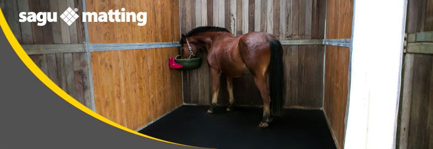 sagu® matting Stallmatten in einer Pferdebox teht ein Pferd auf schwarzen Stallmatten